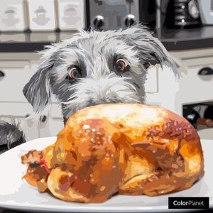 Meet your Posher, Lucila